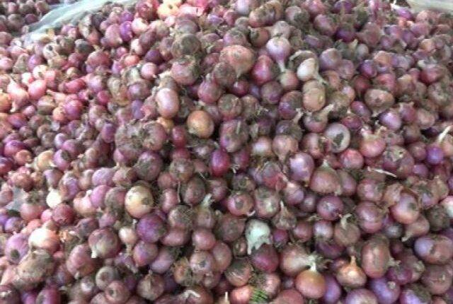 ନୂଆପଡ଼ା ଜିଲ୍ଲାରେ ପିଆଜ ଗୋଦାମ ପାଲଟିଛି ଗୁହାଳ, ଚାଷୀ ପାଉନି ଉଚିତ ମୂଲ୍ୟ