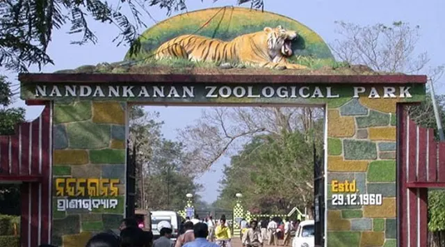 ୨୦୨୪ର ଶେଷ ଦିନରେ ନନ୍ଦନକାନନରେ ପ୍ରାୟ ୩୦ ହଜାର ପର୍ଯ୍ୟଟକ ବୁଲିଲେ ନନ୍ଦନକାନନ