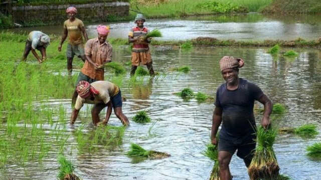 ରାଜ୍ୟରେ ଖୁବ୍‌ଶୀଘ୍ର ଆରମ୍ଭ ହେବ ସିଏମ୍ କିଷାନ ଯୋଜନା