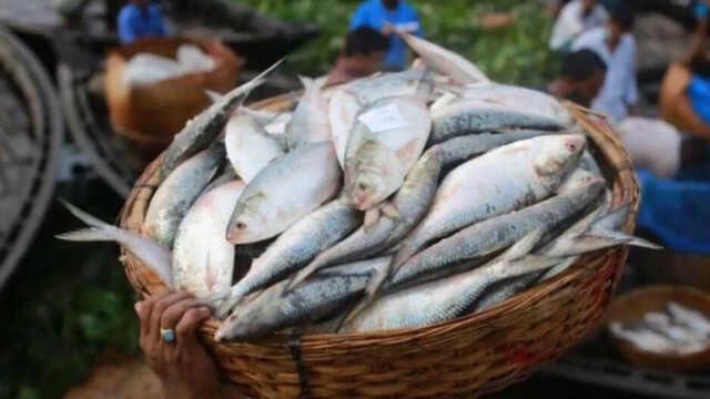 ଭାରତକୁ ଇଲିସି ମାଛ ରପ୍ତାନୀ ଉପରେ କଟକଣା ଉଠାଇଲା ବାଂଲାଦେଶ