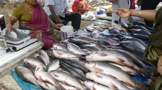 ବାର୍ଡ ଫ୍ଲୁ ଆତଙ୍କ ପରେ ମାଛ ରେଟ୍ ୩୦୦ ଉପରେ