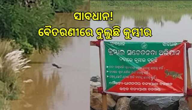 ବୈତରଣୀରେ କୁମ୍ଭୀର, ନଦୀକୂଳିଆ ଭୟଭୀତ