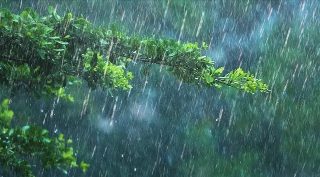 ଆସନ୍ତା ୩ ଦିନ ପ୍ରବଳ ବର୍ଷା ସମ୍ଭାବନା