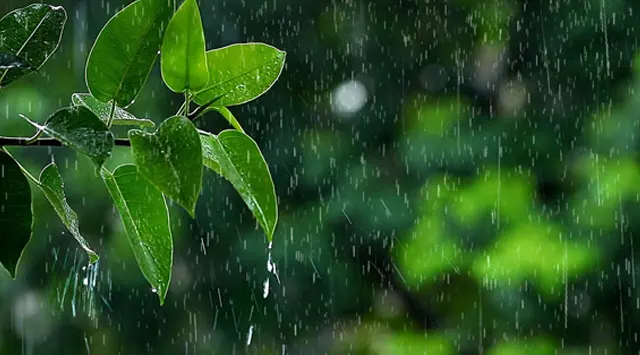 ୬ ଯାଏଁ ହାଲୁକା ବର୍ଷିବ, ଶୀତ କମିବ