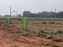 ବାସହୀନଙ୍କୁ ଜମି: ଏଣିକି ବିକ୍ରି-ଖର୍ଦ୍ଦି ମନା, ବିଜ୍ଞପ୍ତି ଜାରି, ଆପତ୍ତି-ଅଭିଯୋଗ ଲୋଡ଼ିଲେ ସରକାର