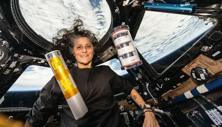 Sunita Williams In Space 1136596
