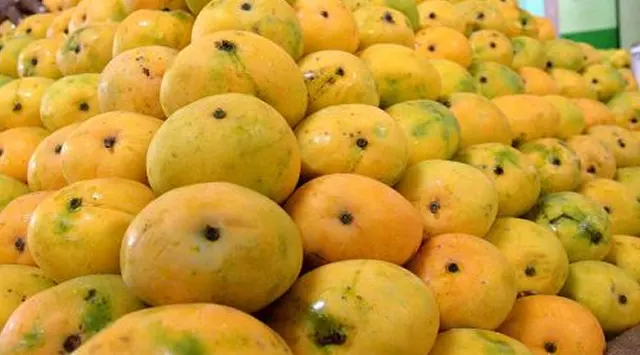 ବିଦେଶକୁ ପଠାଯିବ ଓଡ଼ିଶା ଆମ୍ବ