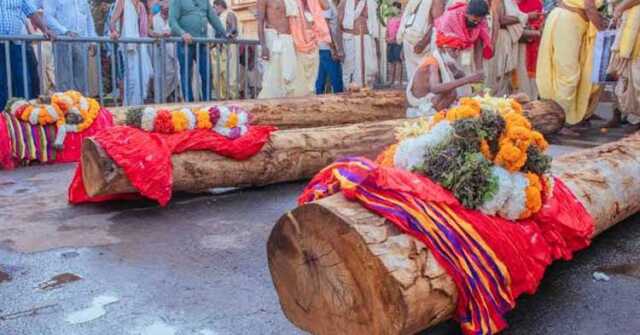 ଆସିଲା ଆଜ୍ଞାମାଳ; ଆରମ୍ଭ ହେଲା ମହାପ୍ରଭୁଙ୍କ ରଥ ନିର୍ମାଣ ଅନୁକୂଳ