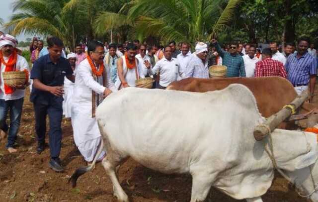 ଅକ୍ଷୟ ତୃତୀୟାରେ ଅକ୍ଷି ମୁଠି ଅନୁକୂଳ କଲେ ରାଜସ୍ବ ମନ୍ତ୍ରୀ ସୁରେଶ ପୂଜାରୀ
