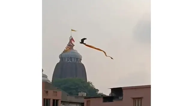 ଶ୍ରୀମନ୍ଦିର ପତିତପାବନ ବାନା ନେଇ ଉଡିଗଲା ଚିଲ !