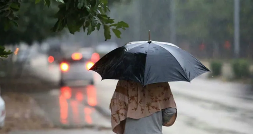 Rain