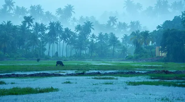 କେରଳ ଛୁଇଁଲା ଦକ୍ଷିଣ-ପଶ୍ଚିମ ମୌସୁମୀ ବାୟୁ