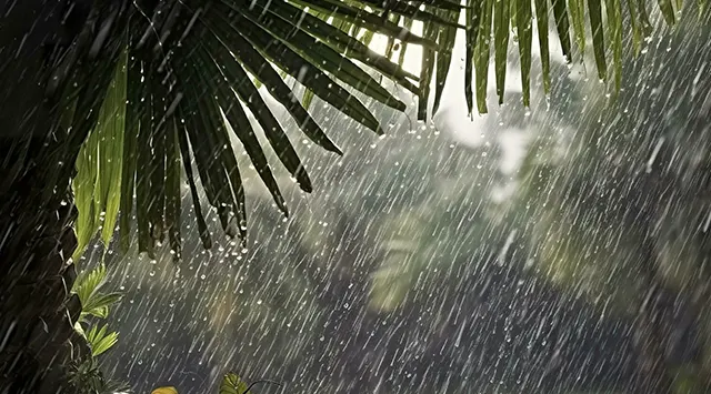 ନିର୍ଦ୍ଧାରିତ ସମୟ ପୂର୍ବରୁ ଓଡ଼ିଶା ଛୁଇଁଲା ଦକ୍ଷିଣପଶ୍ଚିମ ମୌସୁମୀ ବାୟୁ