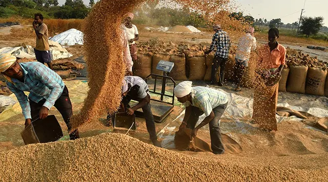 ଧାନର ସର୍ବନିମ୍ନ ସହାୟକ ମୂଲ୍ୟ (ଏମଏସପି) ୬୯ ଟଙ୍କା କୁ ବୃଦ୍ଧି