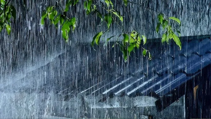 ପୁଣି ଫେରିବ ମୌସୁମୀ ବର୍ଷା, ଜୁନ ୨୦ ଯାଏଁ ସତର୍କ ସୂଚନା ଜାରି