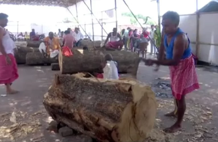 ରଥ ନିର୍ମାଣ କାର୍ଯ୍ୟ: ଶାଳ ପୂଜା ପରେ ପଡିଲା ଅରକଣ୍ଟା, ୨୮ ତୁମ୍ବ ଗୋଲେଇ ଶେଷ