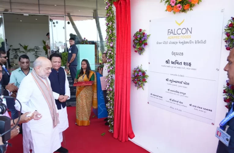 ଦେଶର ସର୍ବବୃହତ୍ ଫ୍ରେଞ୍ଚ ଫ୍ରାଇଜ କାରଖାନା ଉଦ୍‌ଘାଟିତ, ଗୁଜରାଟରେ ୧୦୦୦ କୋଟି ନିବେଶ କଲା ଫାଲକନ ଏଗ୍ରିଫ୍ରିଜ୍
