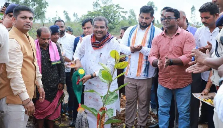 ସମ୍ବଲପୁରରେ ୧ ଲକ୍ଷ ଚାରା ରୋପଣ ଅଭିଯାନର ଶୁଭାରମ୍ଭ