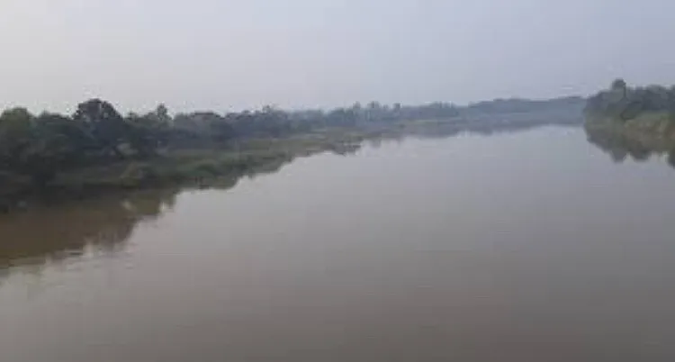 ଡାଇରିଆ ଡର: ଦୟା ନଦୀ ପାଣି ବ୍ୟବହାର ନକରିବାକୁ ମାର୍ଗଦର୍ଶିକା ଜାରି