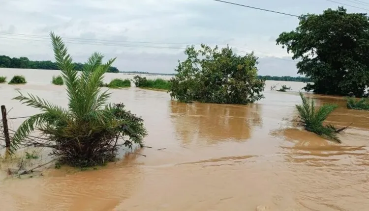 ଭଦ୍ରକରେ ବନ୍ୟା ବିତ୍ପାତ, ୪ ପଞ୍ଚାୟତରେ ୨ ଦିନ ସ୍କୁଲ୍‌ ଛୁଟି ଘୋଷଣା