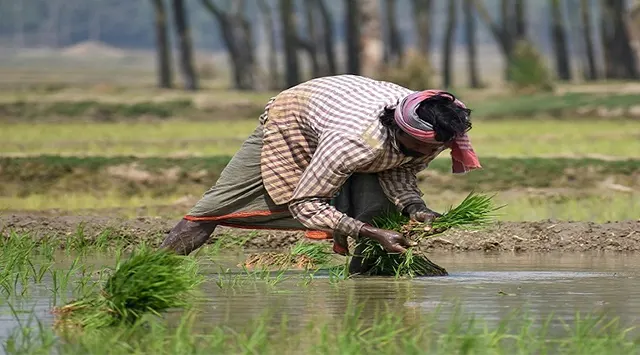 ଯାଞ୍ଚ ହେବ ଚାଷୀଙ୍କ e-KYC, ପଞ୍ଜିକରଣକୁ ସରଳୀକରଣ କଲେ ରାଜ୍ୟ ସରକାର