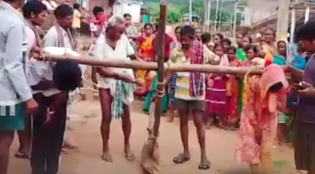 ରାୟଗଡା ପରେ କୋରାପୁଟରେ ପୁଣି କଙ୍ଗାରୁ କୋର୍ଟ, ଗୋଟିଏ ବଂଶରେ ପ୍ରେମ କରିବାରୁ ବଳଦ ଦଣ୍ଡ