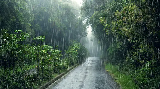 Rain