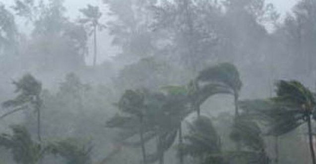 Heavy Rain 123