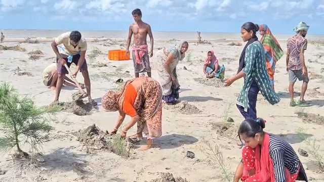 ଗାଁର ସୁରକ୍ଷା ପାଇଁ ବେଳାଭୁମୀରେ ନିଜସ୍ବ ଖର୍ଚ୍ଚରେ ଏକ ଲକ୍ଷରୁ ଅଧିକ ଝାଉଁ ଗଛ ରୋପଣ କଲେ ଗ୍ରାମବାସୀ