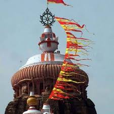 ଶ୍ରୀମନ୍ଦିର ନୀଳଚକ୍ର ଉପରେ ବସିଲା ଚିଲ