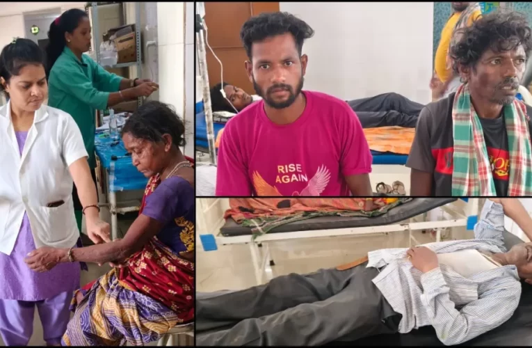 ମହୁମାଛି ଆକ୍ରମଣରେ ୫ ଗୁରୁତର