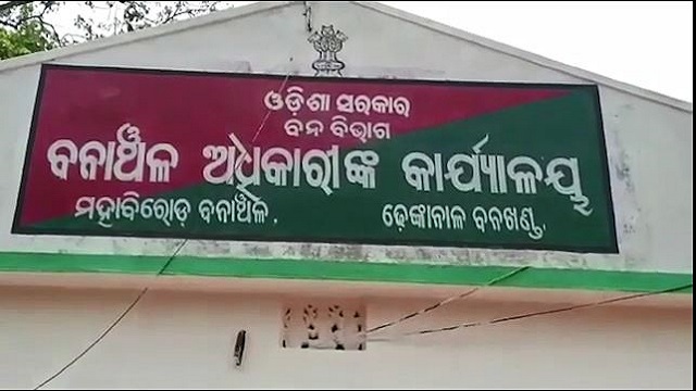ମହାବିରୋଡ଼ ରେଞ୍ଜରେ ଅଜଣା ଜନ୍ତୁ ଆତଙ୍କ, ପେଟ୍ରୋଲିଂ କରି ଗ୍ରାମବାସୀଙ୍କୁ ସଚେତନ କରୁଛି ବନବିଭାଗ