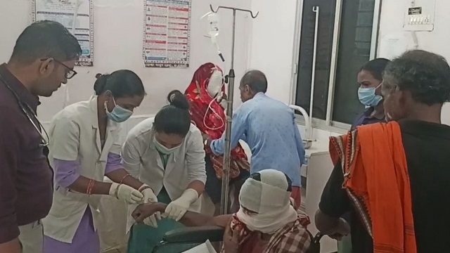 ଭାଲୁ ଆକ୍ରମଣରେ ଦୁଇ ଭାଇ ଗୁରୁତର