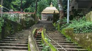 ବରୁଣେଇରେ ବାରହା ଆତଙ୍କ: ୩ ପର୍ଯ୍ୟଟକ ଗୁରୁତର