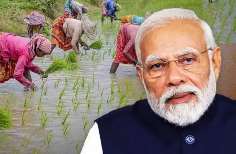 ୧୧ରେ ପ୍ରଧାନମନ୍ତ୍ରୀ ଧନଧାନ୍ୟ କୃଷି ଯୋଜନାର ଶୁଭାରମ୍ଭ