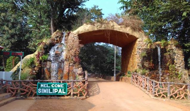 ପର୍ଯ୍ୟଟକଙ୍କ ପାଇଁ ଆଜିଠୁ ଖୋଲିଲା ଶିମିଳିପାଳ ବ୍ୟାଘ୍ର ଅଭୟାରଣ୍ୟ
