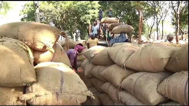 କାଲିଠୁ ରାଜ୍ୟରେ ଆରମ୍ଭ ହେବ ଧାନ କିଣା