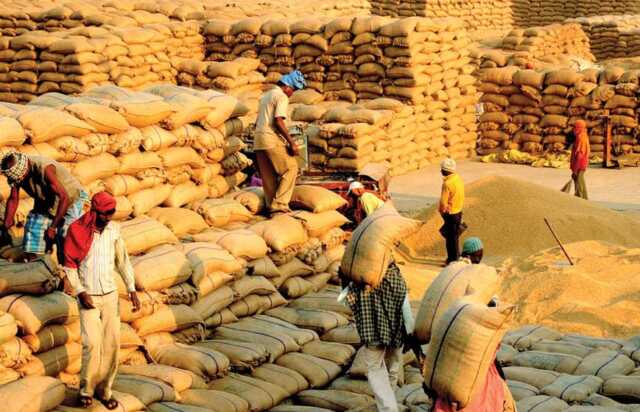 Paddy in mandi.869x568