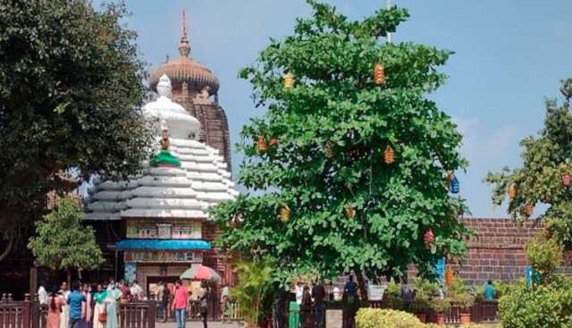 ମହାଶିବରାତ୍ରୀ ପୂର୍ବରୁ ଏକାମ୍ର ପ୍ରକଳ୍ପ କାମ ସାରିବାକୁ ନିର୍ଦ୍ଦେଶ