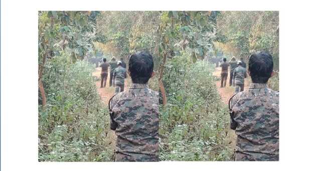 ଟ୍ରାଙ୍କୁଲାଇଜ ପରେ ଅସୁସ୍ଥ ହାତୀର ଚିକିତ୍ସା ଆରମ୍ଭ