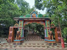ଜଙ୍ଗଲକୁ ଫେରିଗଲେ ଦୁଇ ଦନ୍ତା, ଖୋଲିଲା ଶିଖରଚଣ୍ଡୀ ପୀଠ