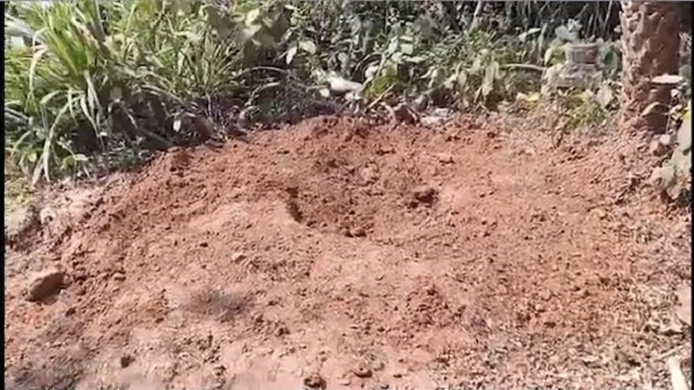ମଣିନାଥପୁର ମଶାଣିରୁ ୫ ଶବ ଚୋରି
