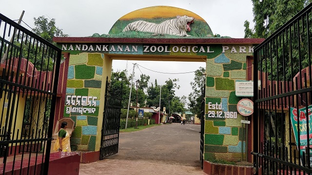 ନନ୍ଦନକାନନରେ ୮ ଦିନରେ ମଲେଣି ୫ ବଉଳା କୁମ୍ଭୀର