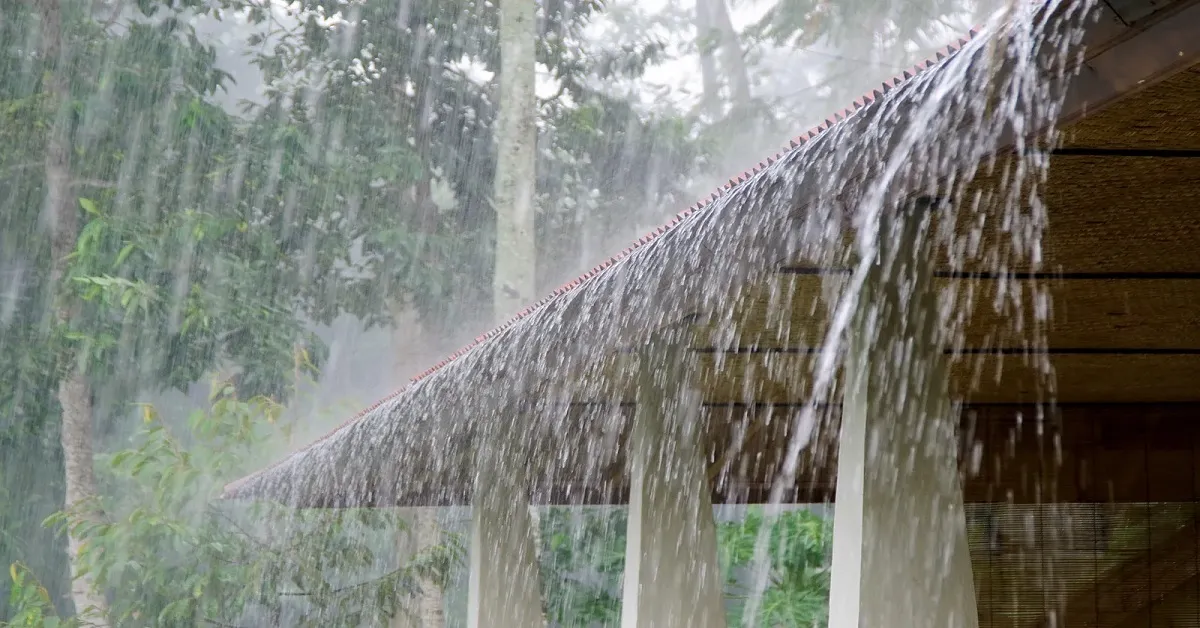 Rain 3