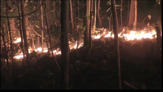 Fire 7