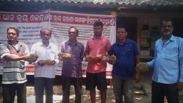 ମଣ୍ଡିରେ ଧାନରୁ ହେଲାଣି ଗଛ; ଆସୁନାହାନ୍ତି ମିଲର