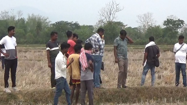 ବିଲରୁ ଗଳିତ ମୃତଦେହ ଉଦ୍ଧାର, ଶହେ ମିଟର ଘୋଷାରି ଆଣିଲା କୁକୁର