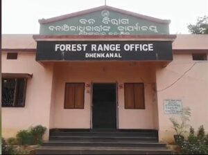 ଆମ୍ବ ଗୋଟାଇବା ବେଳେ ଦଳିଦେଲା ଦନ୍ତା, ଚାଲିଗଲା ବୃଦ୍ଧାଙ୍କ ଜୀବନ