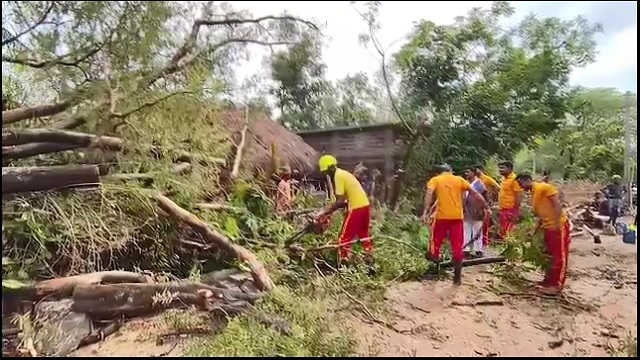 ଶୋଇଥିବା ବେଳେ ଗଛ ପଡ଼ି ଭାଙ୍ଗିଲା ଘର, ୩ ଗୁରୁତର