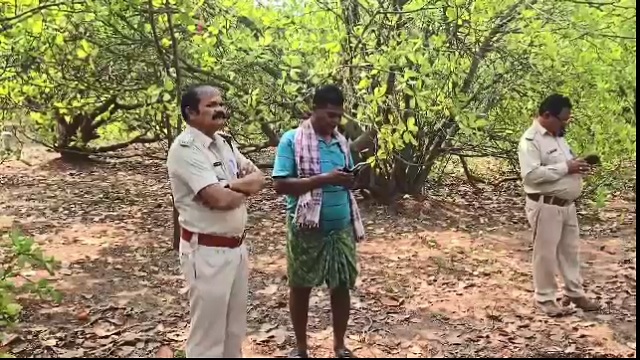ହାତୀ ମୃତ୍ୟୁ ଘଟଣାରେ ଫରେଷ୍ଟର ନିଲମ୍ବିତ